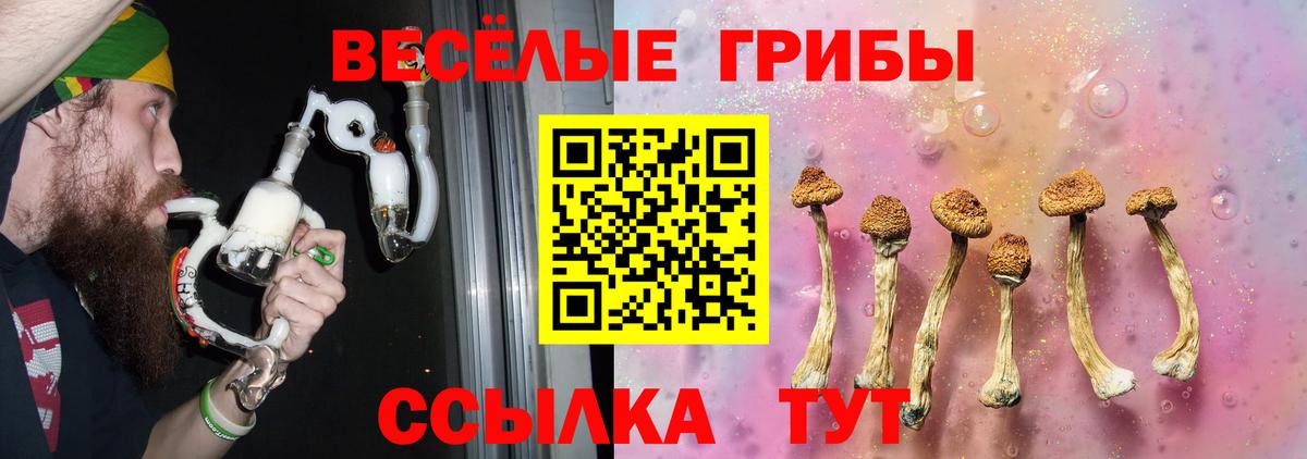 Галлюциногенные грибы MAGIC MUSHROOMS Боровичи